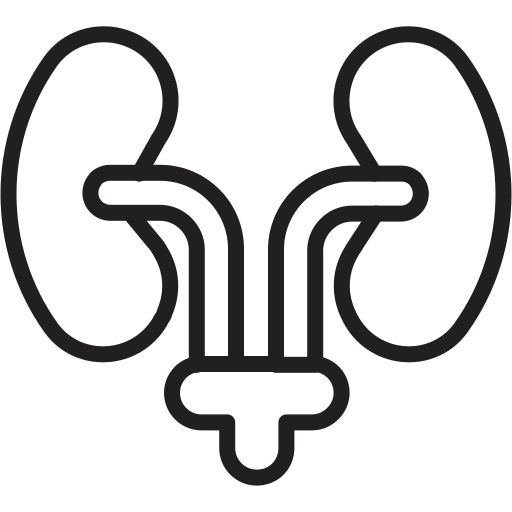 Urologia